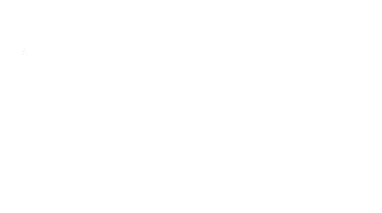POLYMAINT SERVICES